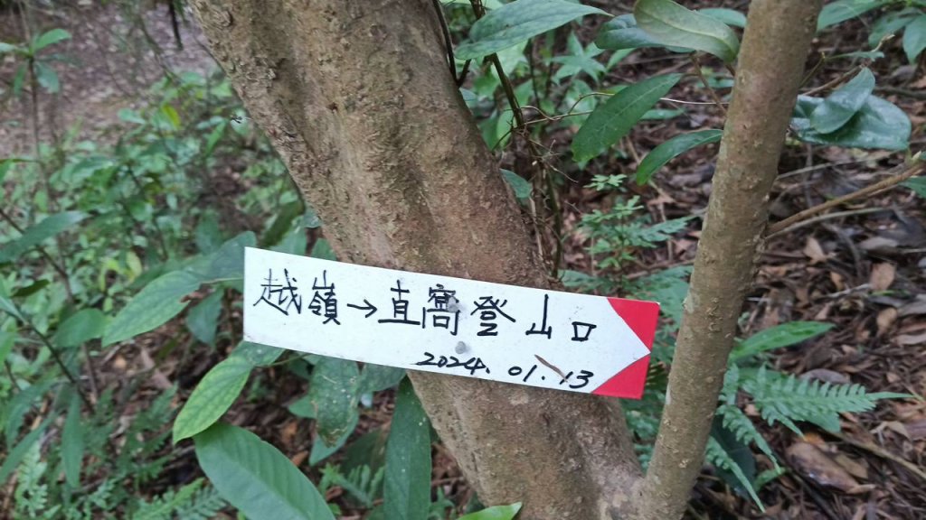 20250607 新竹竹東三山(樹杞林山 - 新具庄山 - 員崠子山)  O型_2808890