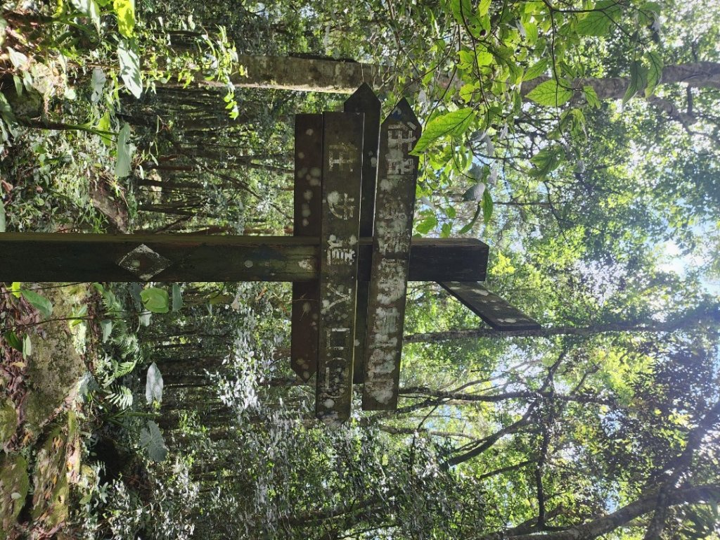 石頭自然生態步道封面圖