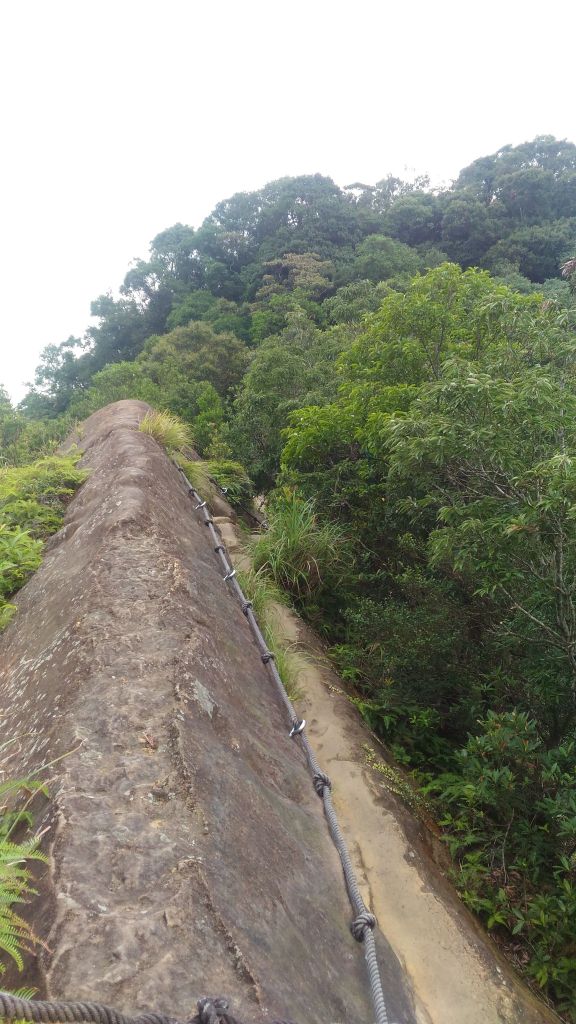 前往皇帝殿拉!!!_178002