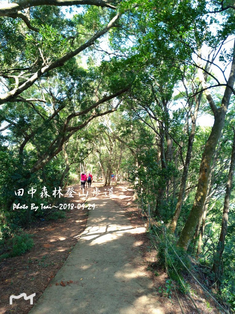 田中森林公園登山步道20180929_455522