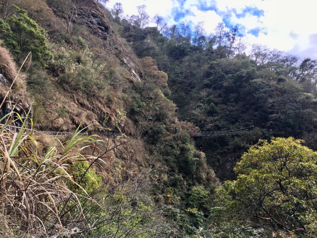 美哉！八通關雲龍瀑布步道_509108