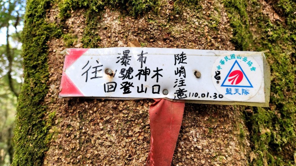 【中級山 】北得拉曼巨木步道，連走內鳥嘴山_2742216