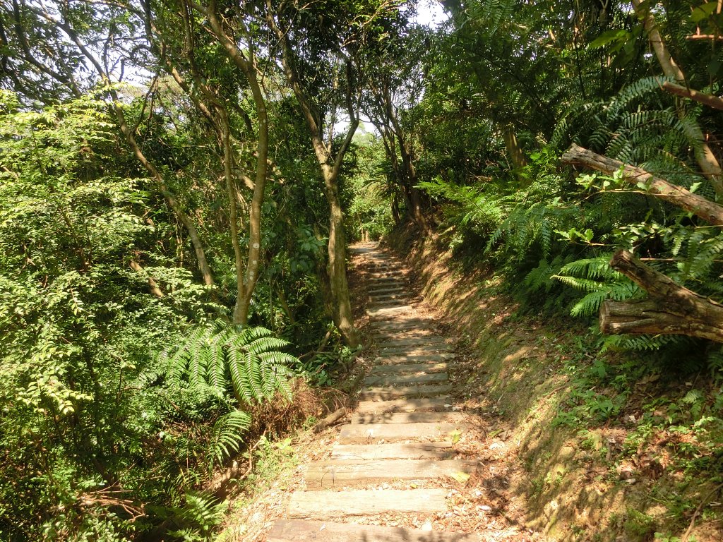 二叭子植物園步道_657209