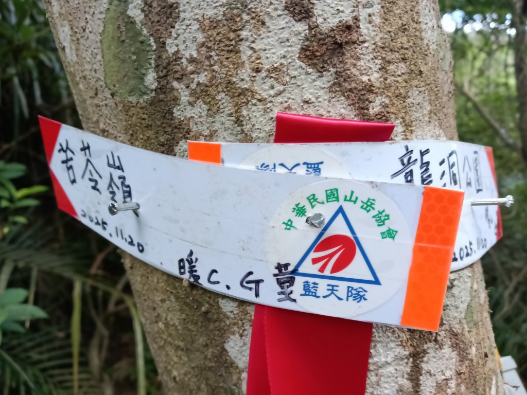 貢寮區龍洞坑古道+苦苓嶺+南雅山+海園古道O型_2954601