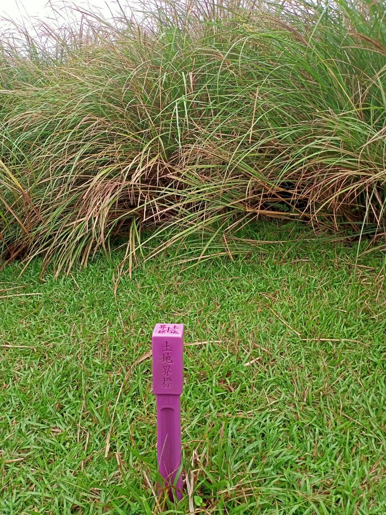 擎天崗→磺嘴山生態保護區→磺嘴山 H912m→翠翠谷→榮潤古道→內雙溪古道→擎天崗環形步道_1489257