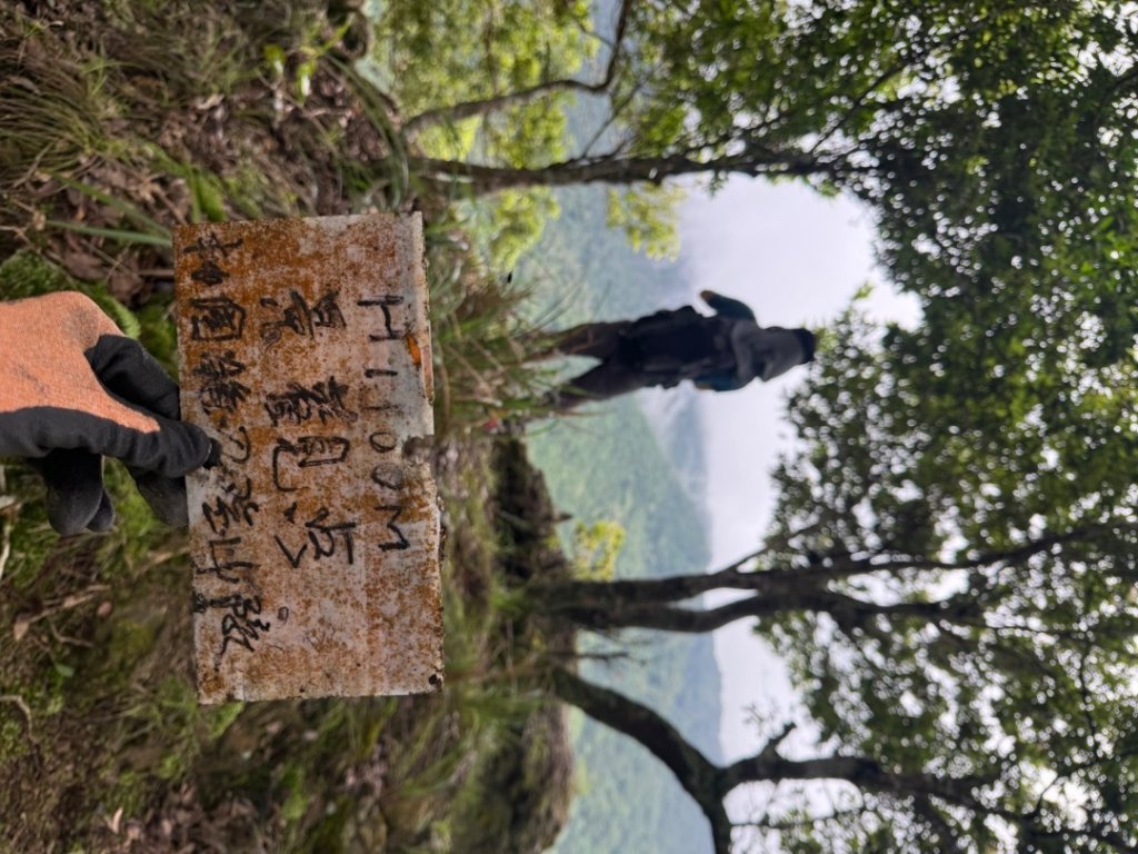 20250607 春谷養鱒場所上加里山 出大坪_2805208