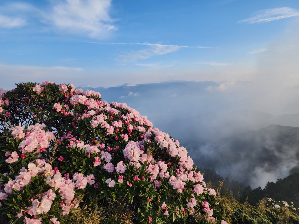 合歡北峰．西峰封面圖