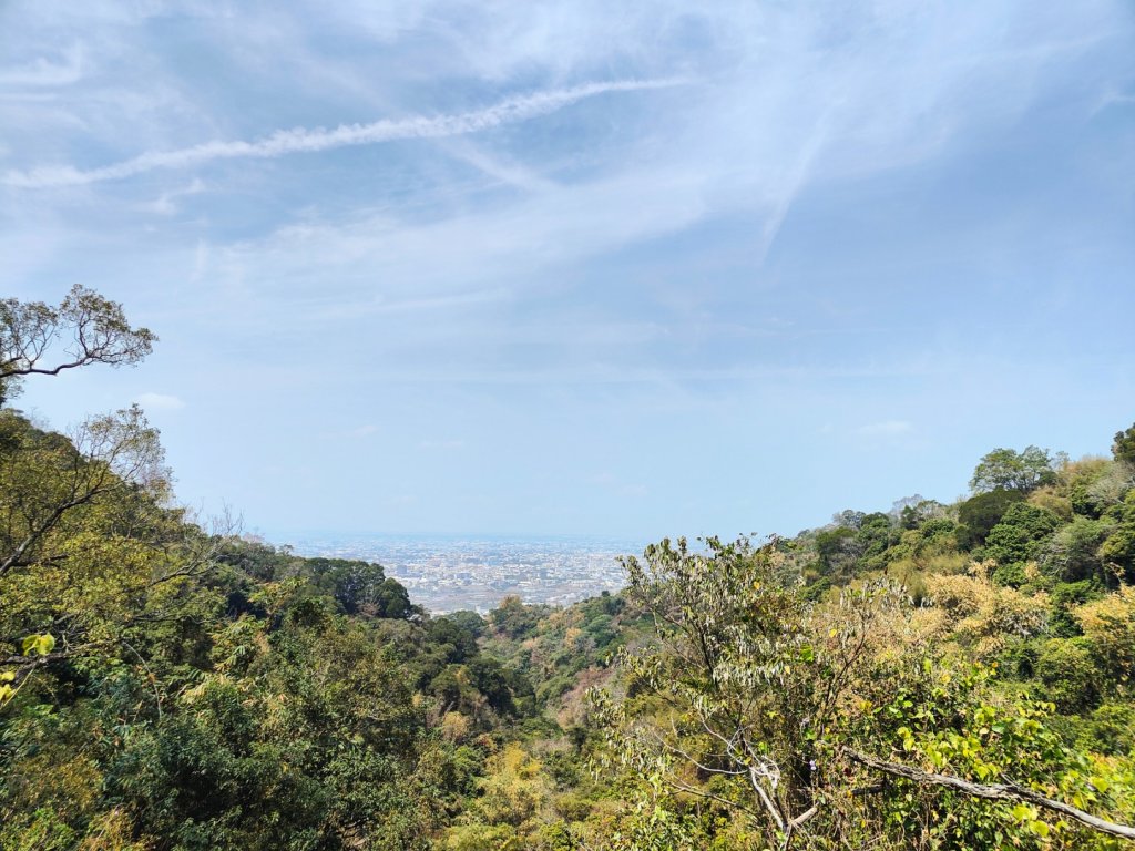 #40小百岳-新田登山步道封面圖