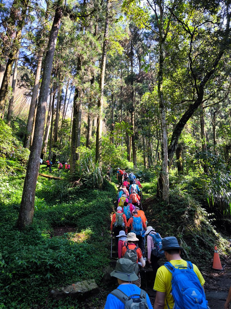 2025-09-14 奮起湖_2887388