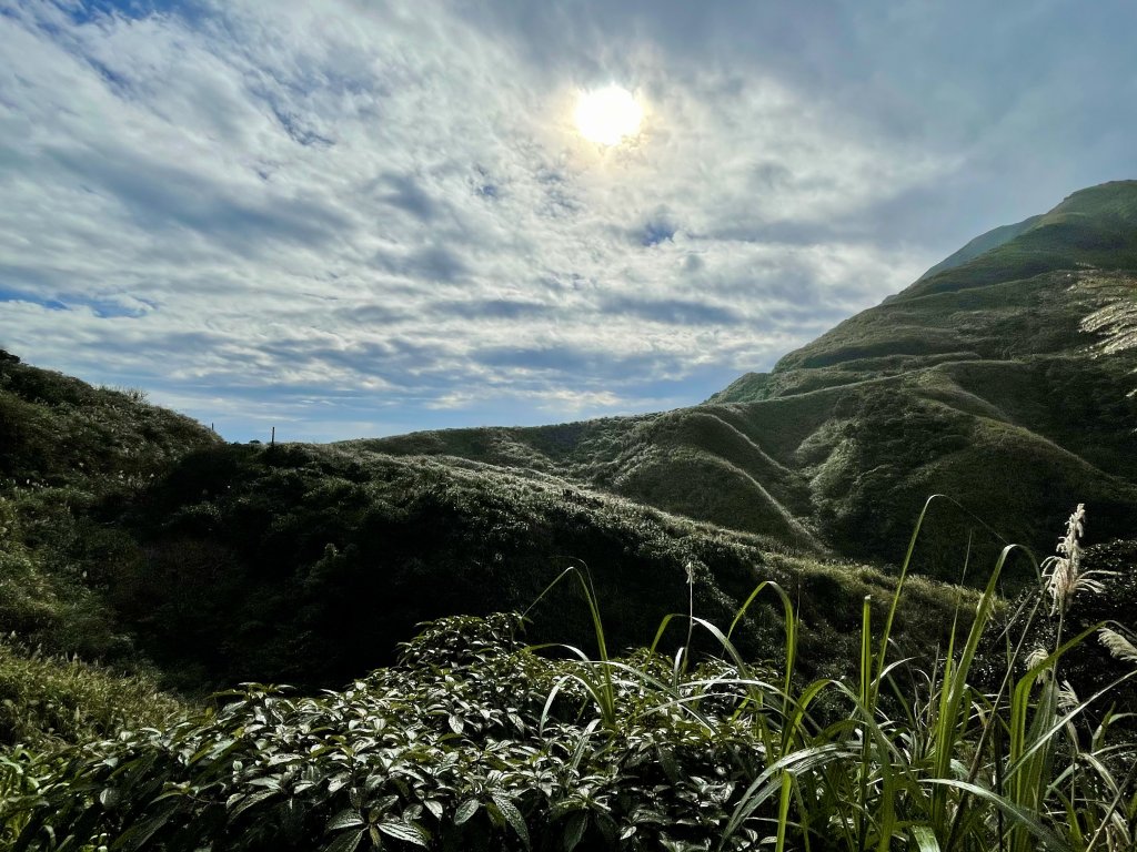 黃金十稜 龍洞稜 和美山登草山_1220915