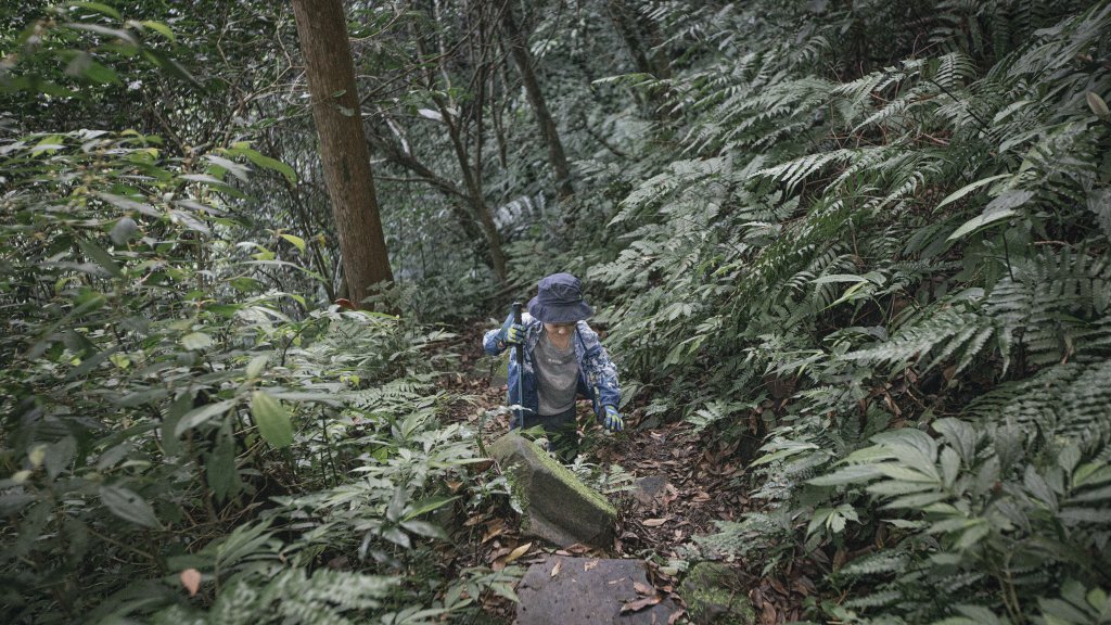 無止盡的攀爬之路-嘎色鬧部落上那結山（那是山）_1761249