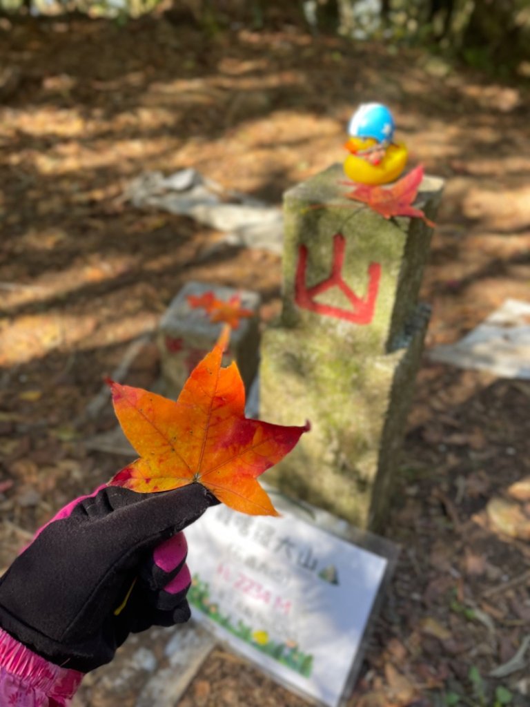 霞喀羅古道-石鹿進-白石駐在所兩天一夜封面圖