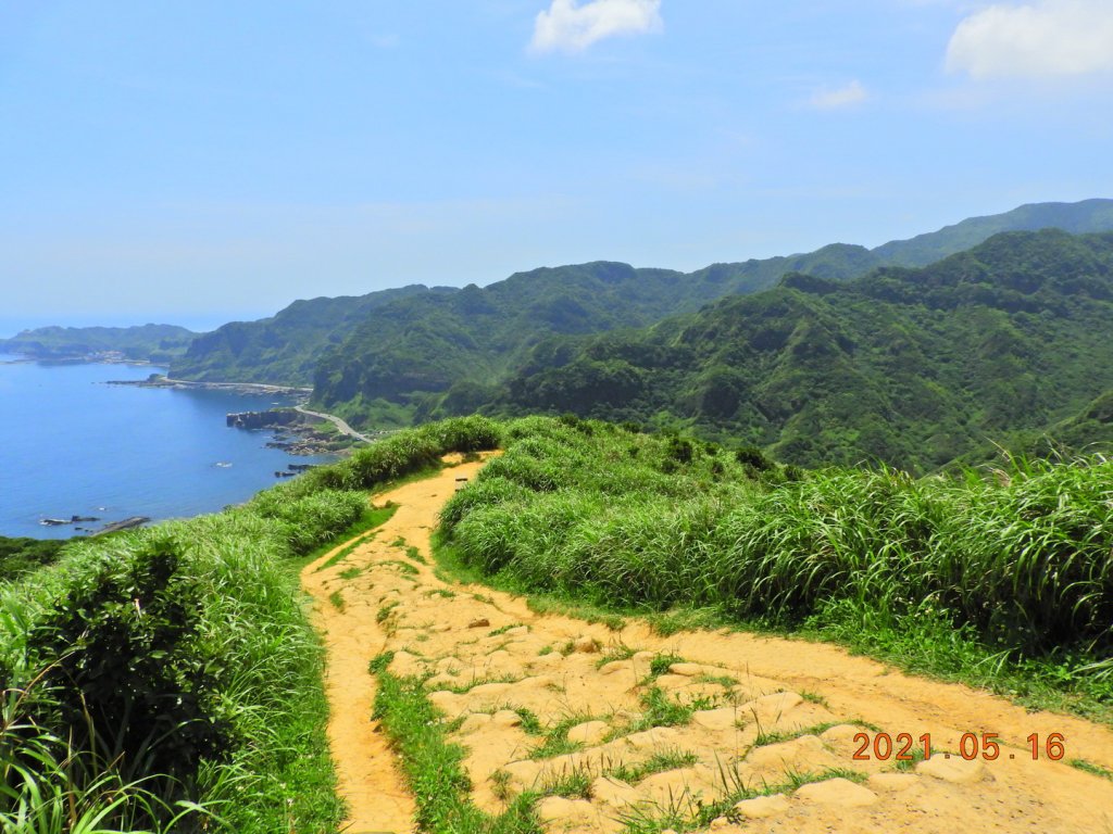 新北 瑞芳 南子吝山_1388668