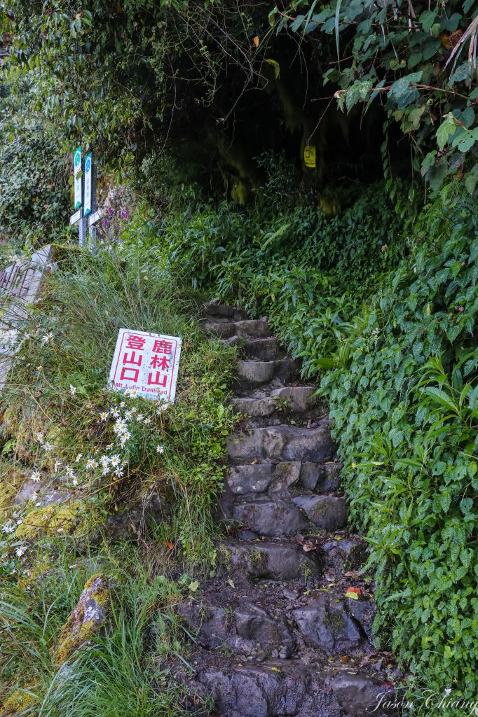 [塔塔加連峰]麟趾山-鹿林山-鹿林前山_1797117