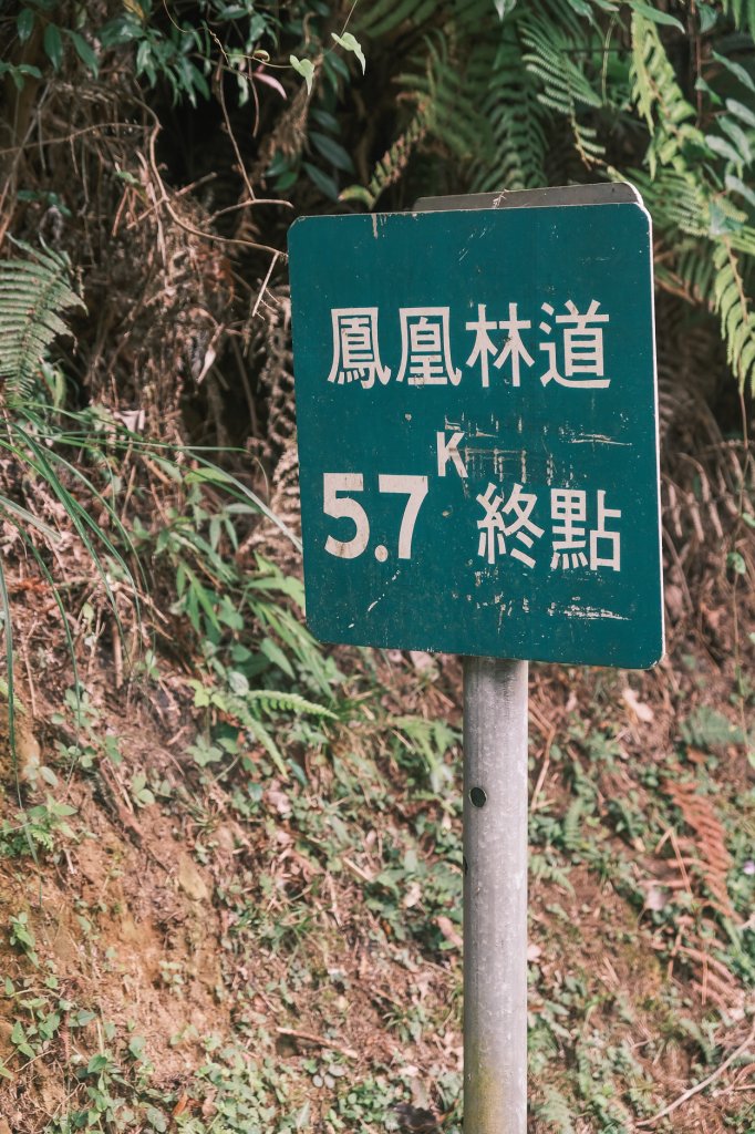 溪頭天文台步道_1772290
