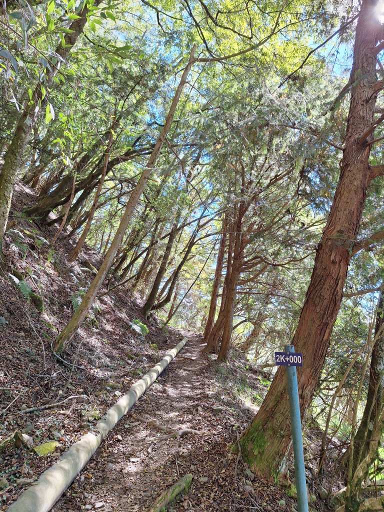 石山引水道20251211_2959544