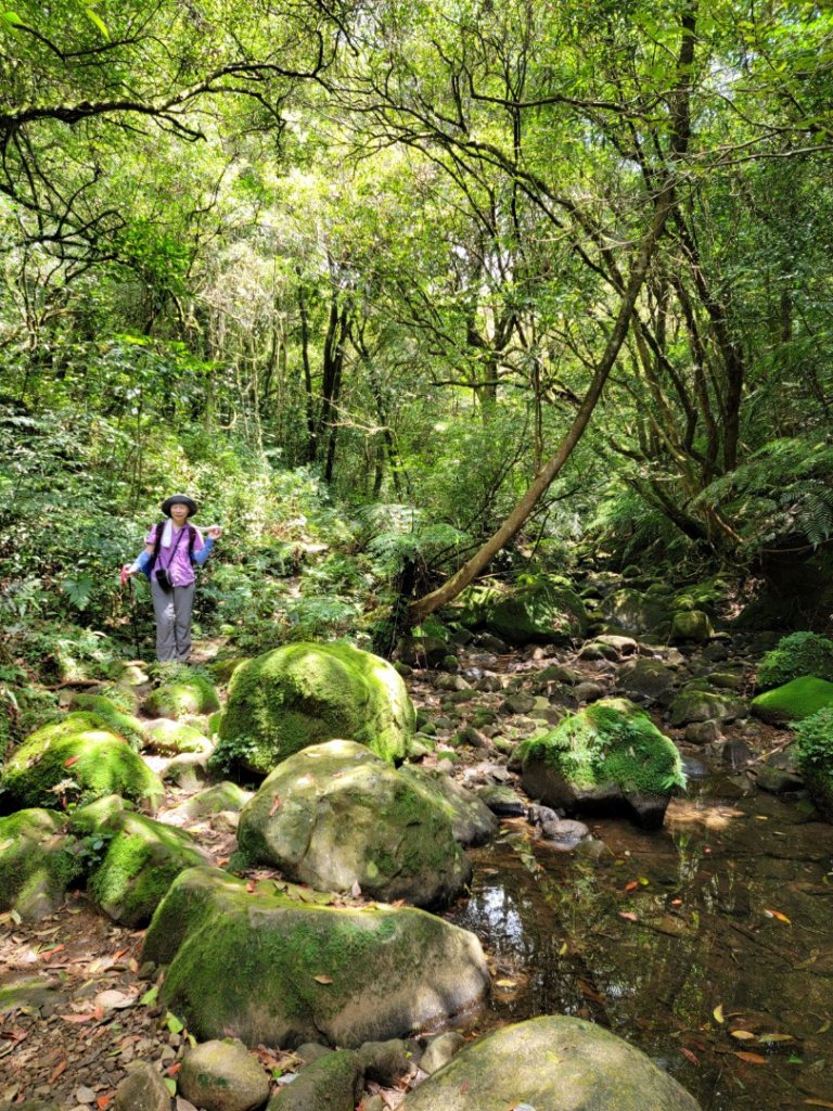 避暑清涼行-20240707_2600850