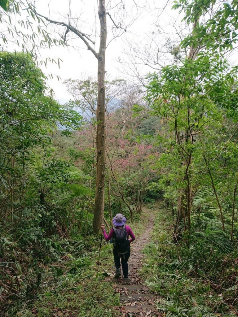 四崁水山、大桶山_1661794