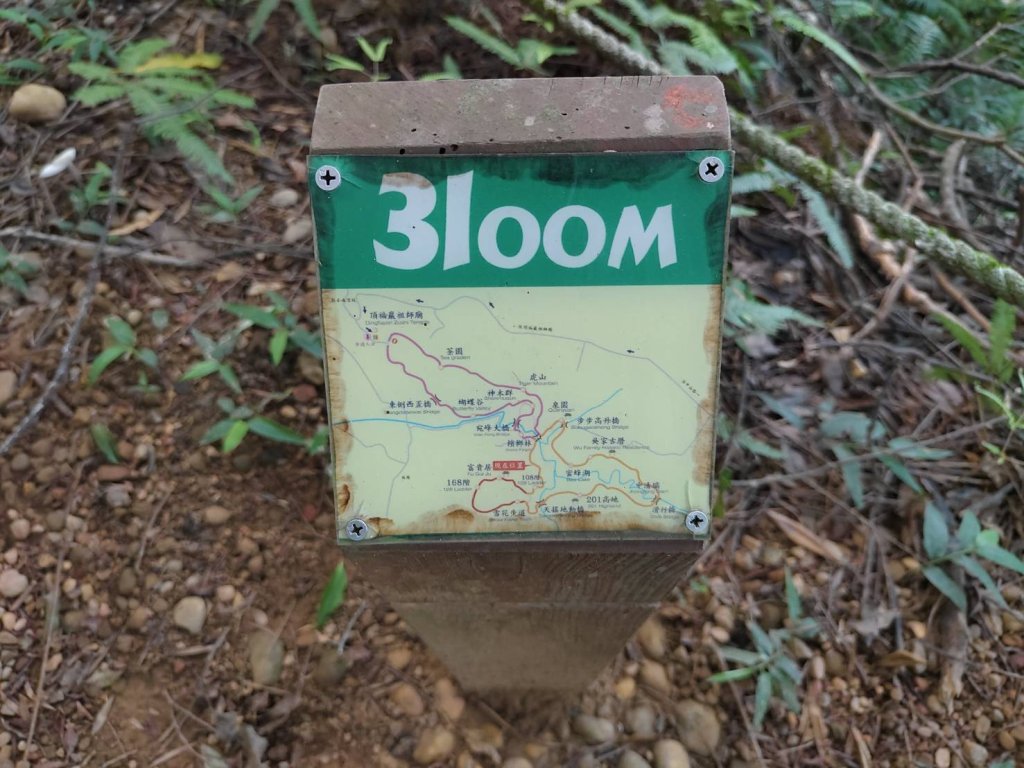 林口頂福巖森林步道_2838115