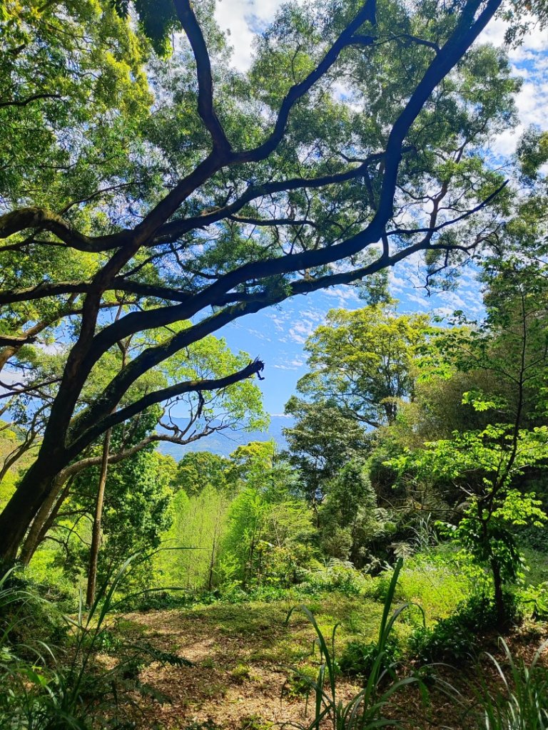 關刀山+仙山_2747350