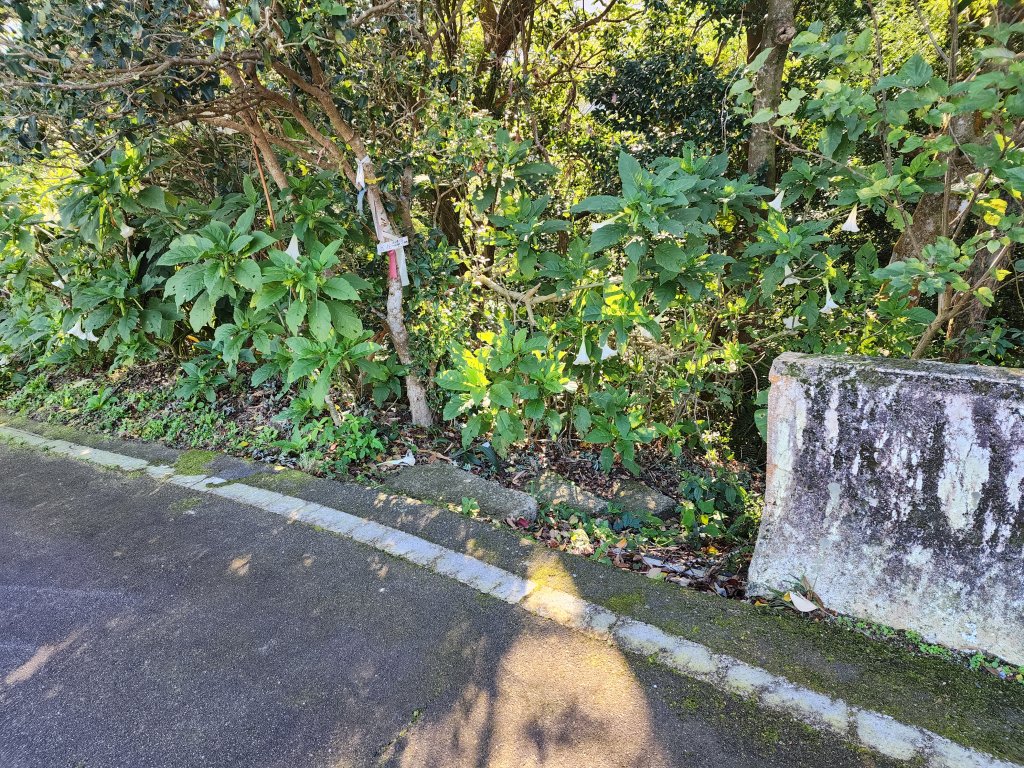 20240114指南宮站經猴山岳二格山鵝角格山至貓空站_2430793
