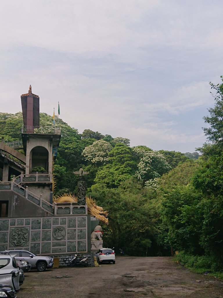 火焰山之桐花大爆發_2483358