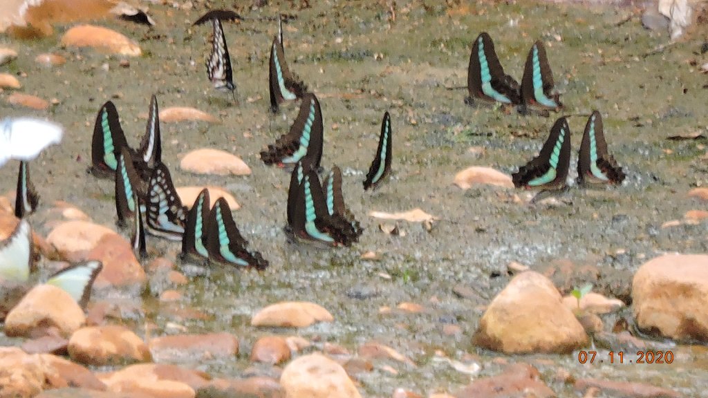 就是喜歡這個藍天白雲的FU_1029247