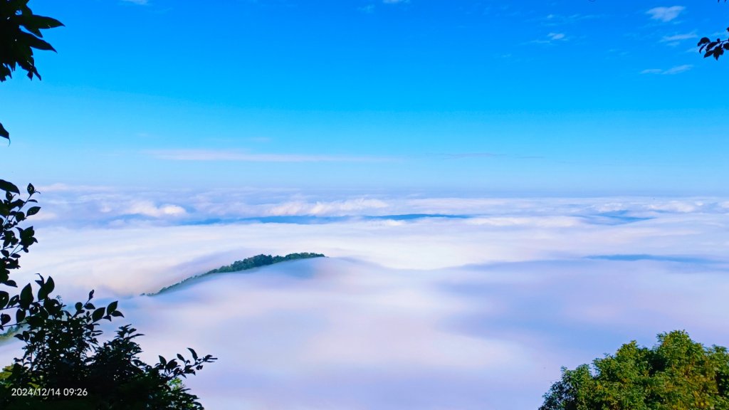二訪馬拉邦山，解鎖 #琉璃光雲海 #日出雲海  #血月 #斜射光 #楓葉紅了！_2668588