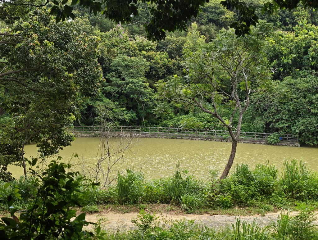 [皮皮獅動物派對-01/10] 2026_0815 寶山迴龍步道、環湖步道封面圖