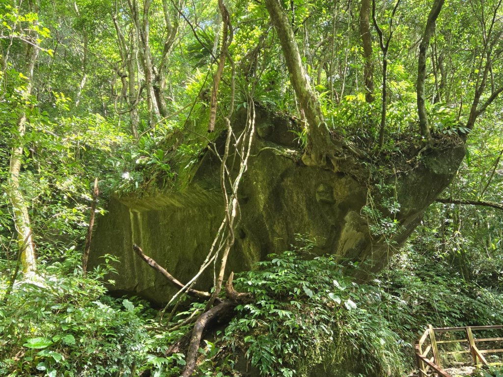 馬武督探索森林、外鳥嘴山_2860630