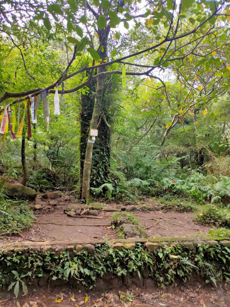 小觀音山封面圖