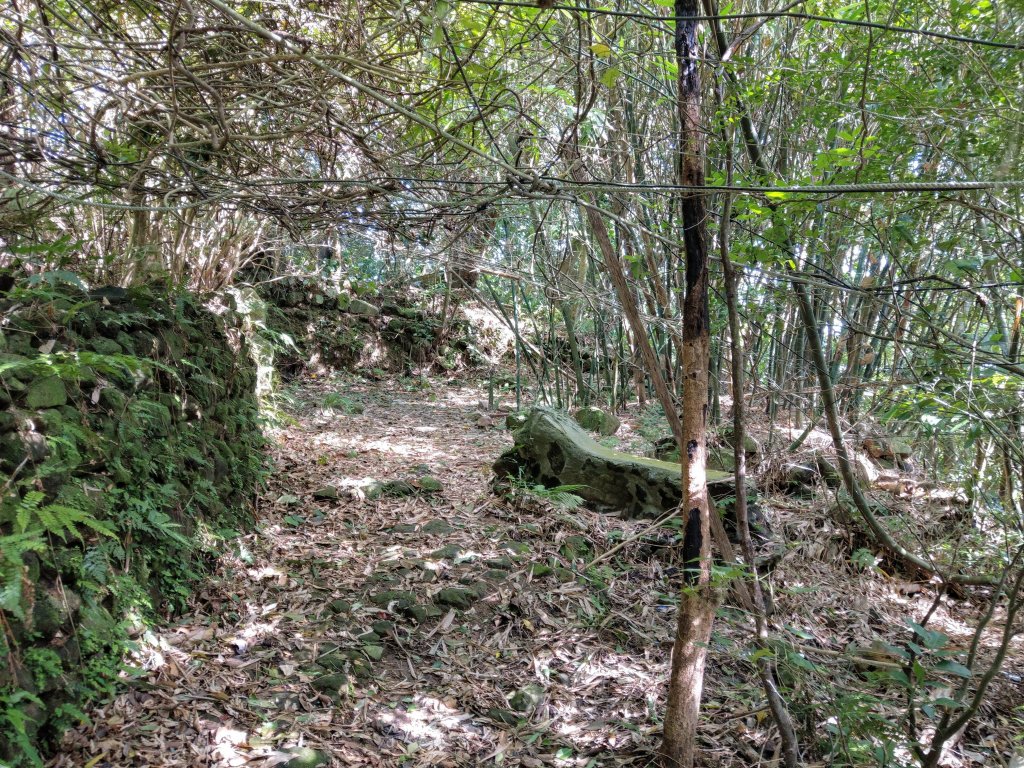 晴空萬里的硬漢嶺步道(觀音山)、凌雲寺往返＋原始土石山徑_1489180