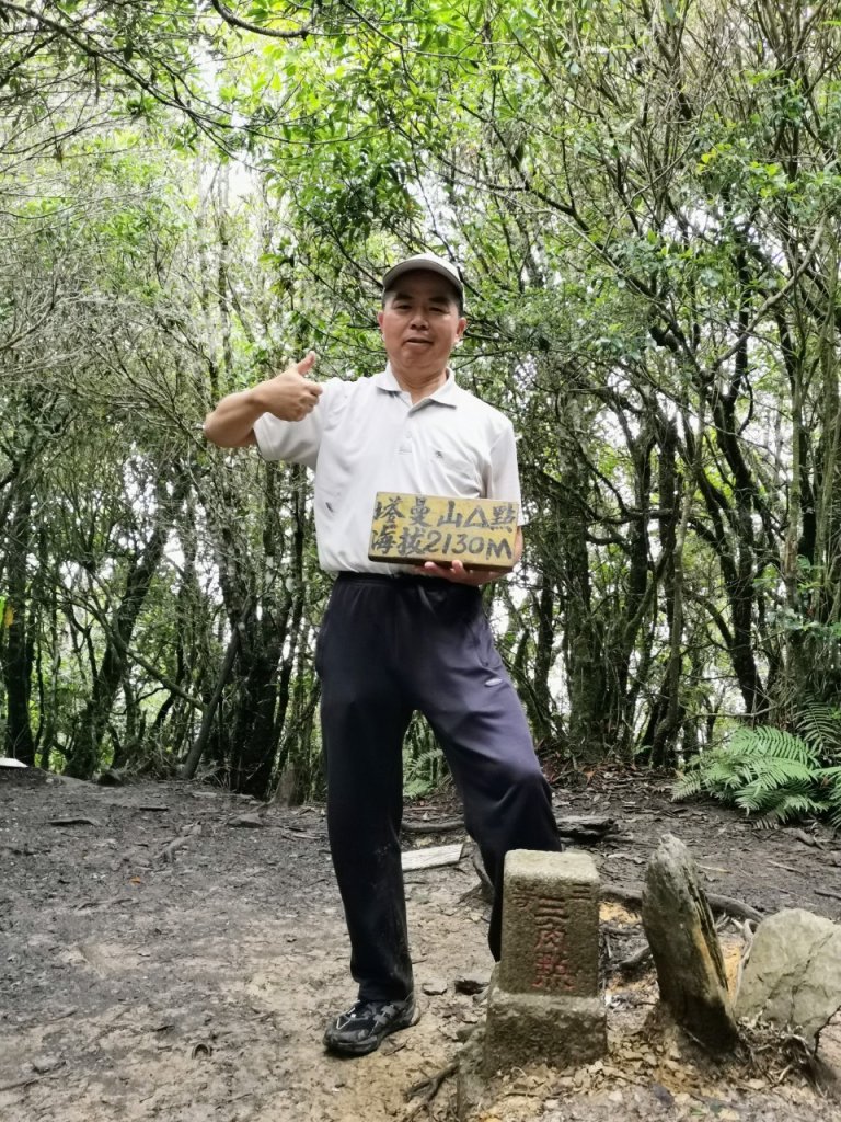 拉拉山巨木步道-塔曼山步道_20240702封面圖