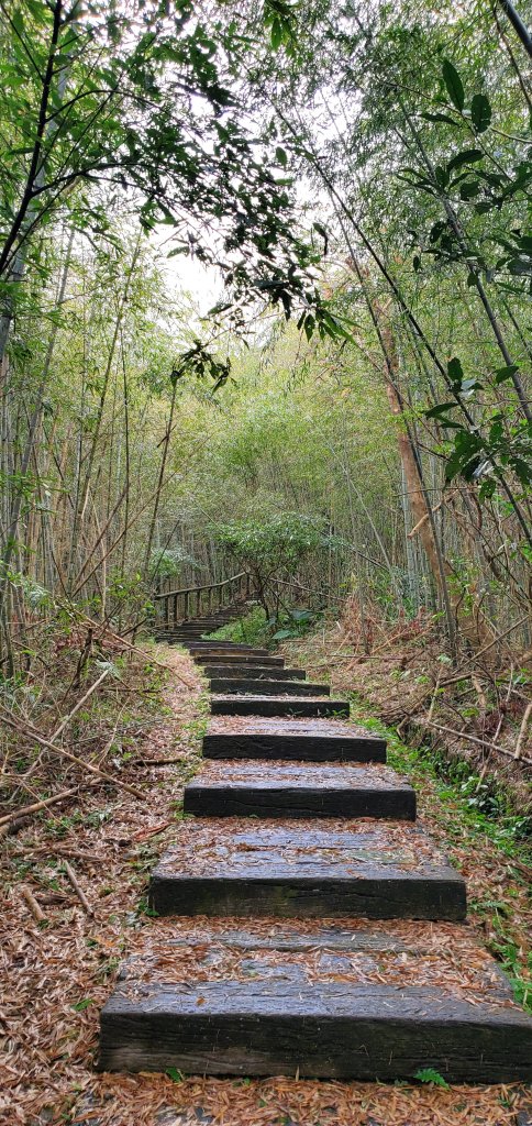 2025-01-19孝子路步道、大巃頂_2694243