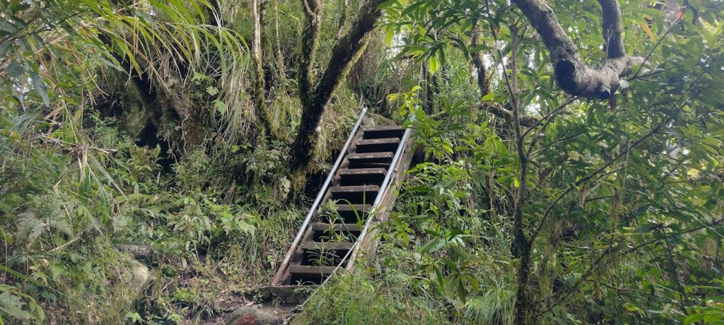 2023 4/9 都蘭山_2107718