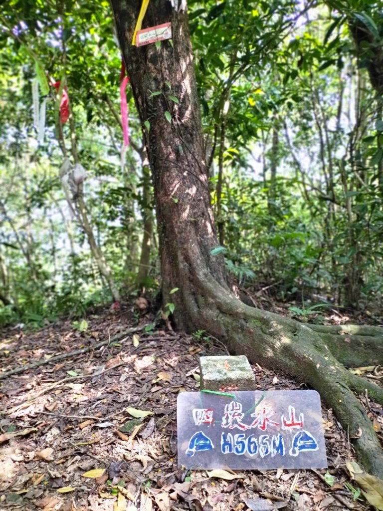 烏來桂山路…文化大學華岡實習林場…四崁水山…大桶山…桂山路_2499140