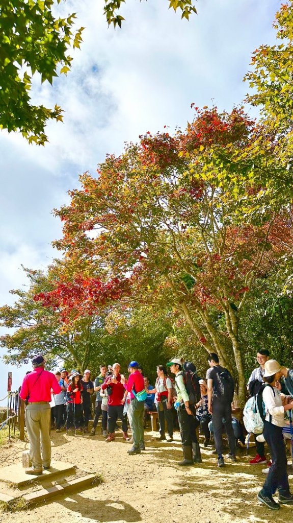 馬那邦山O走_2370062