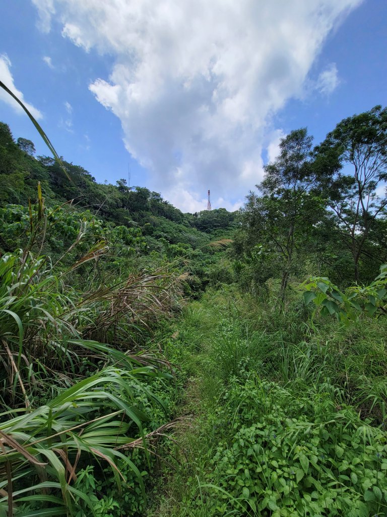 【台南 | 關仔嶺 枕頭山】_1435479