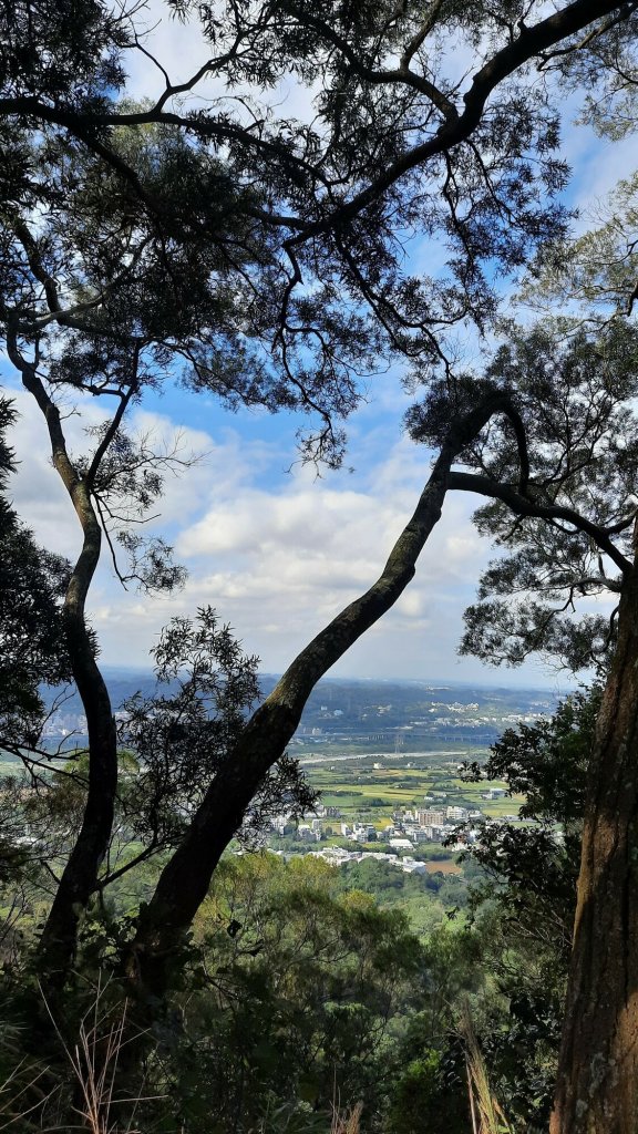 《新竹》古道巡禮｜觀日坪古道飛鳳山步道O型及關西東安古橋20211114_1514488