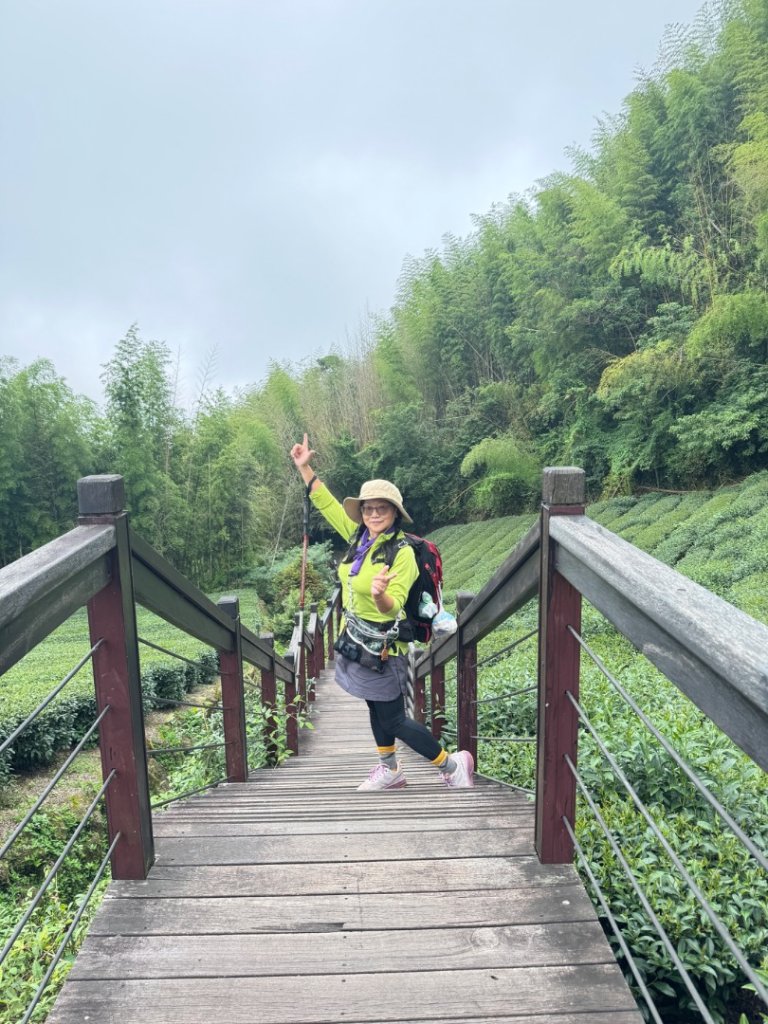 頂石槕步道群順訪樂野山_2808455