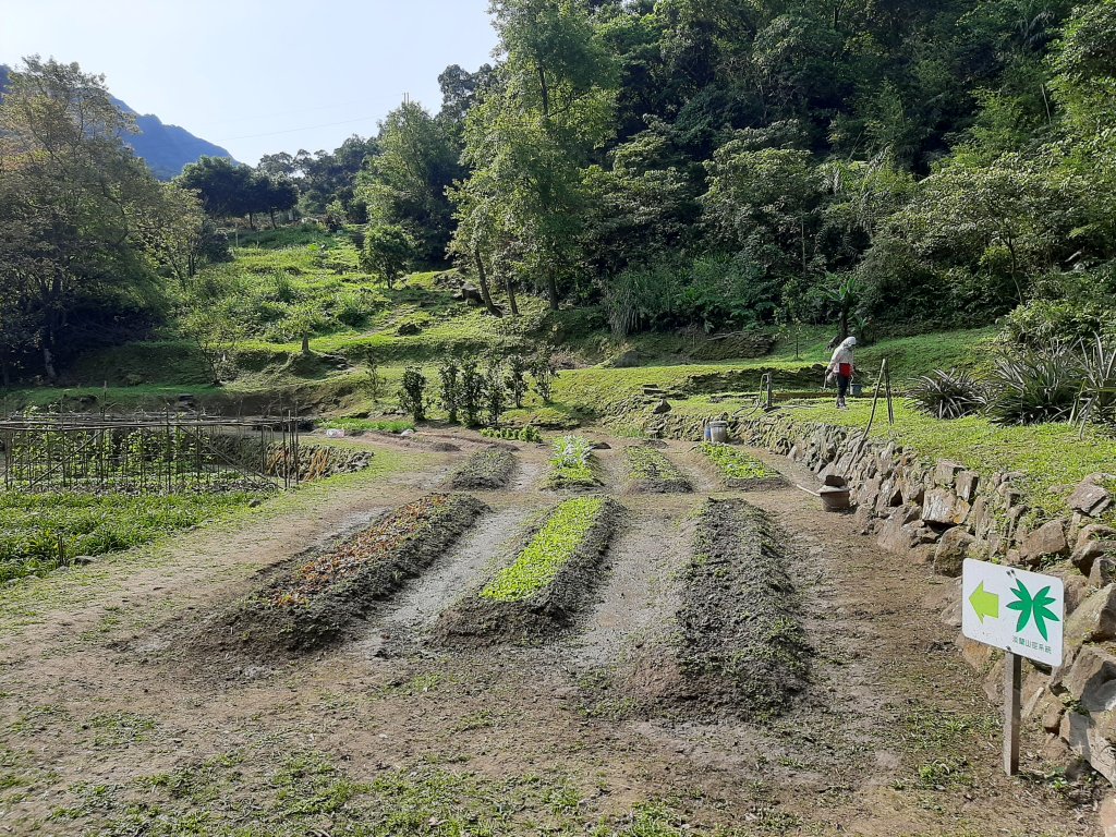 20200509 暖暖 - 威惠廟_960842