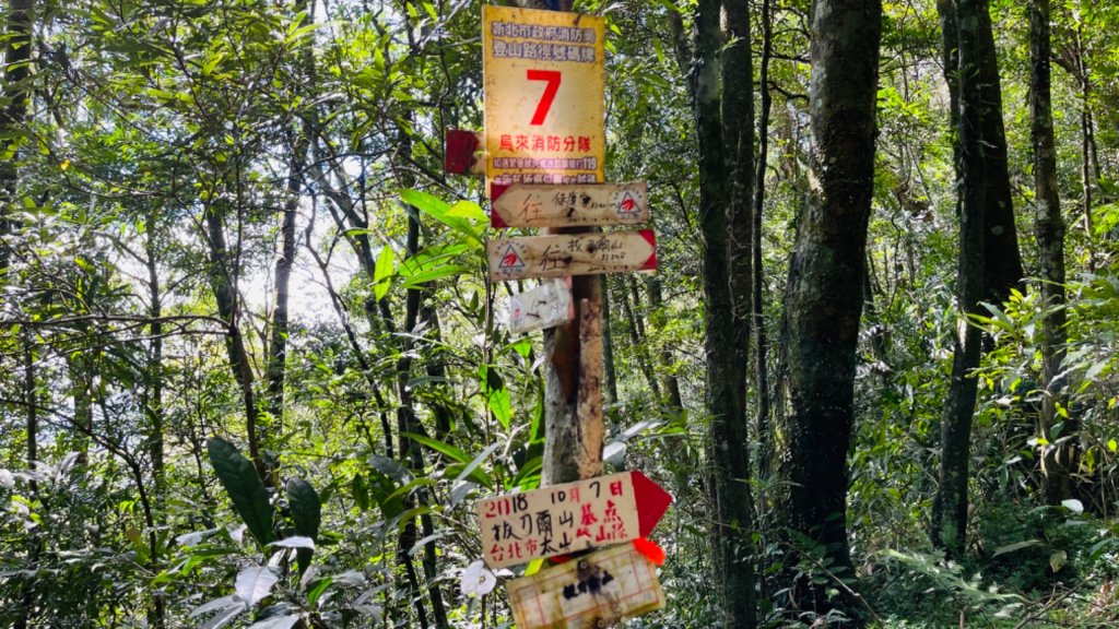 1101010拔刀爾山.美鹿山_1485258