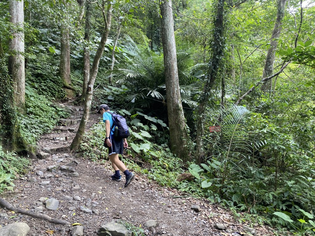 《探訪熊空秘境｜新北三峽雲森瀑布沁涼體驗》_2878464