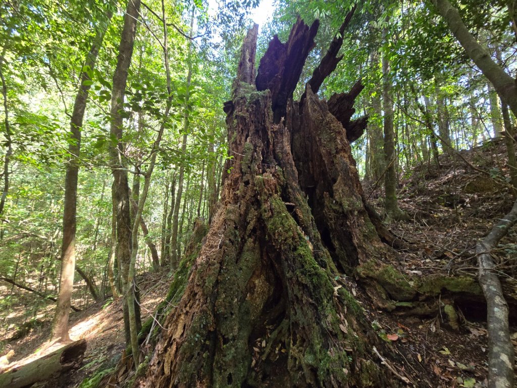 哈堪尼山_2761957