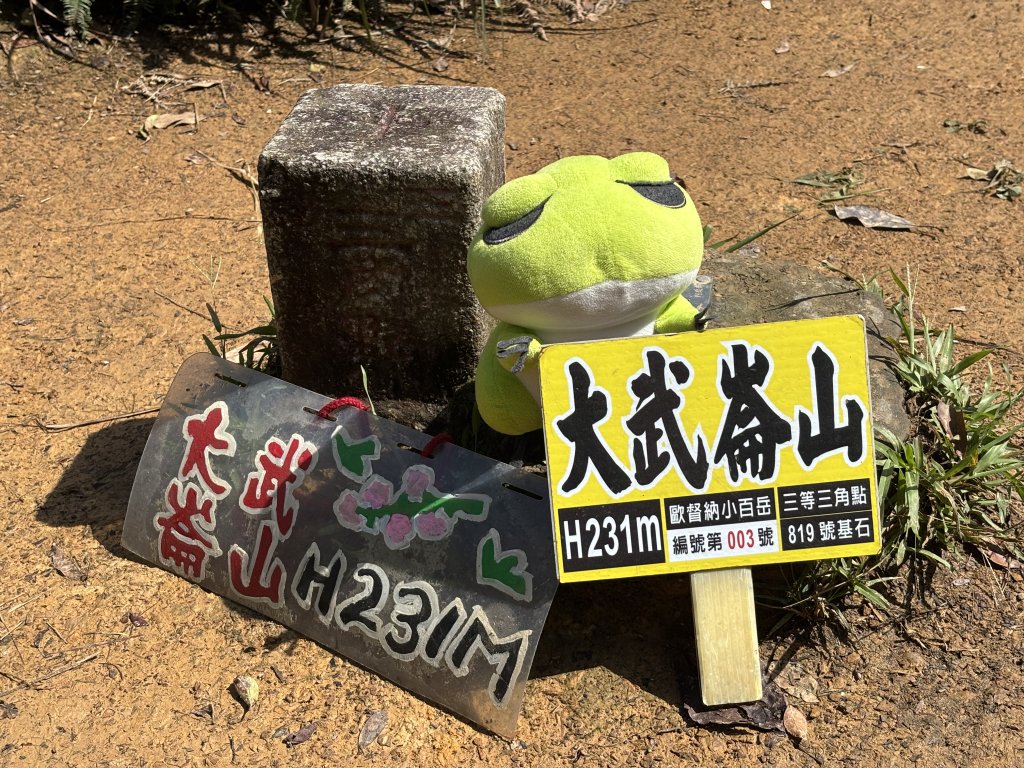 大武崙山封面圖
