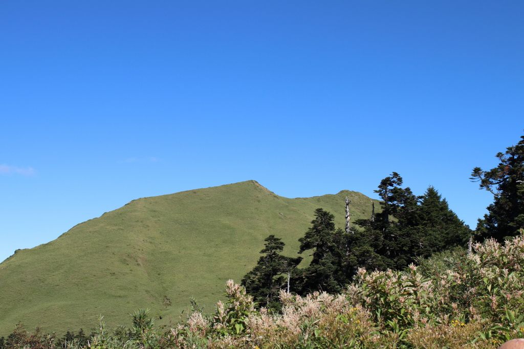 石門山北峰封面圖