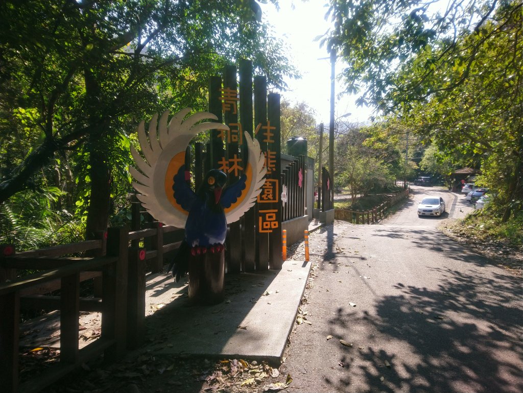 霧峰奧山桐林山步道群通爬封面圖