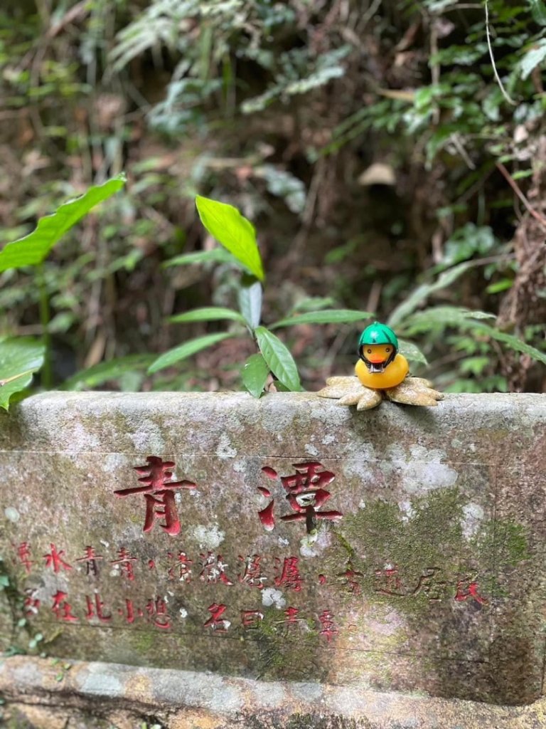 淡蘭古道北中南路全段共15段_2567954
