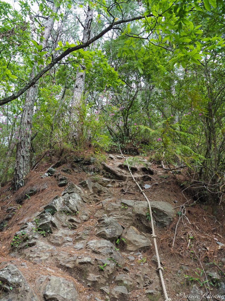 [百岳]志佳陽大山一日單攻_915098
