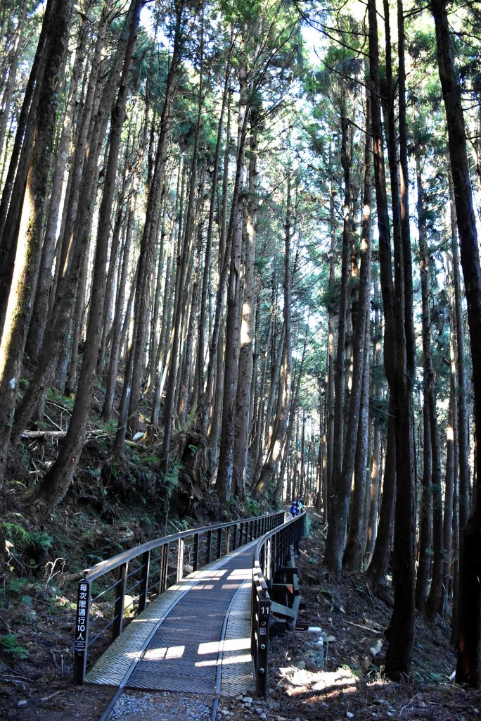 20241215冬季特富野古道_2674398